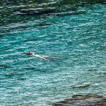 Hébergement de vacances Alia Andros *