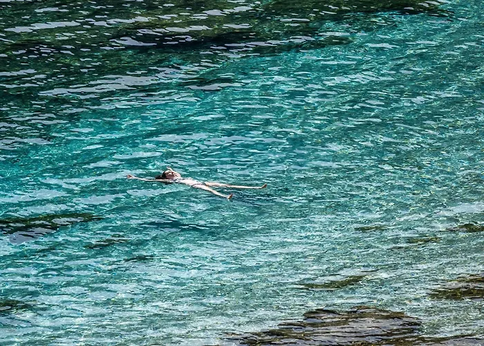 別荘 Alia Andros *